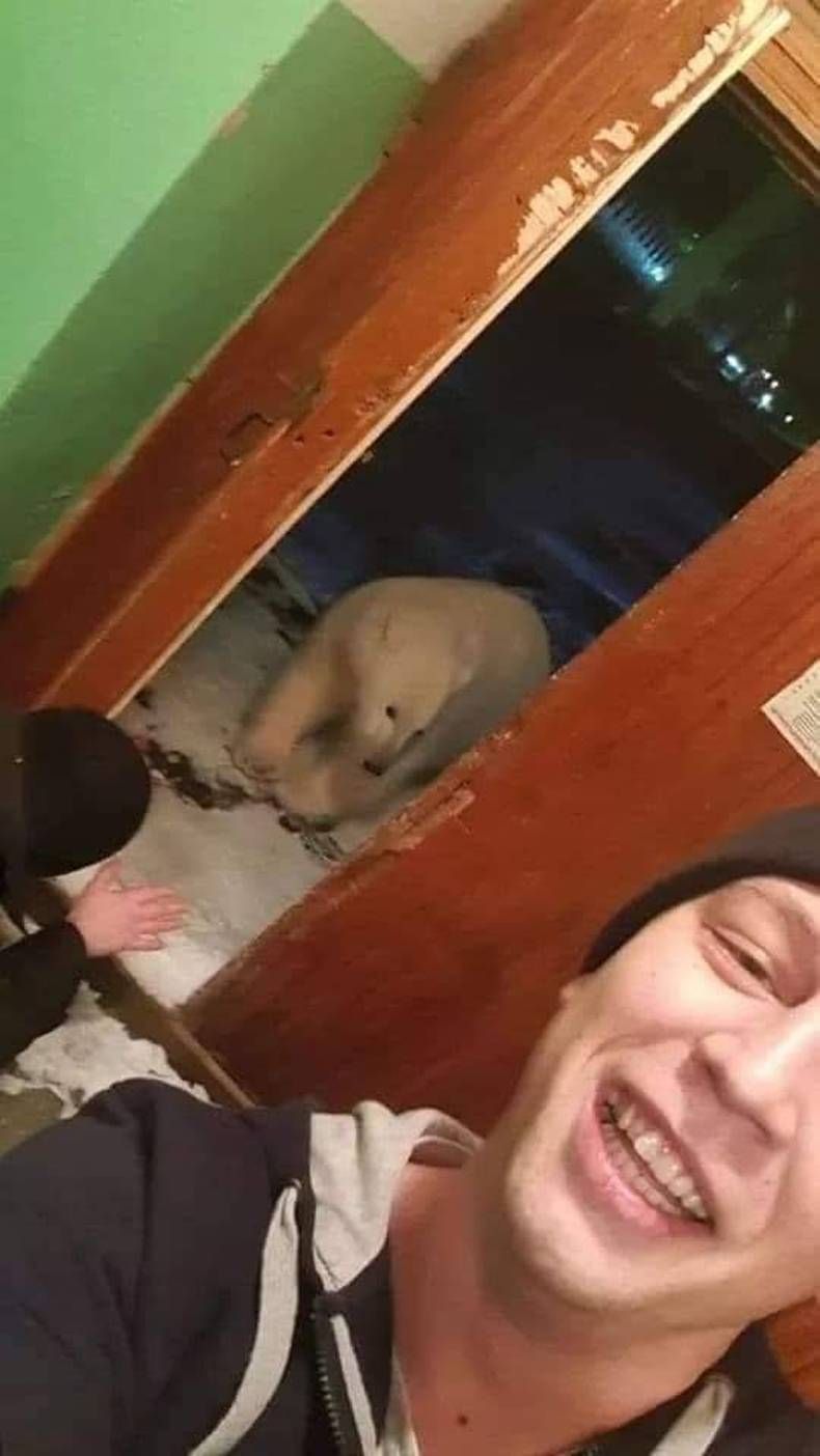 Gewoon een verzameling hilarische foto's #1424