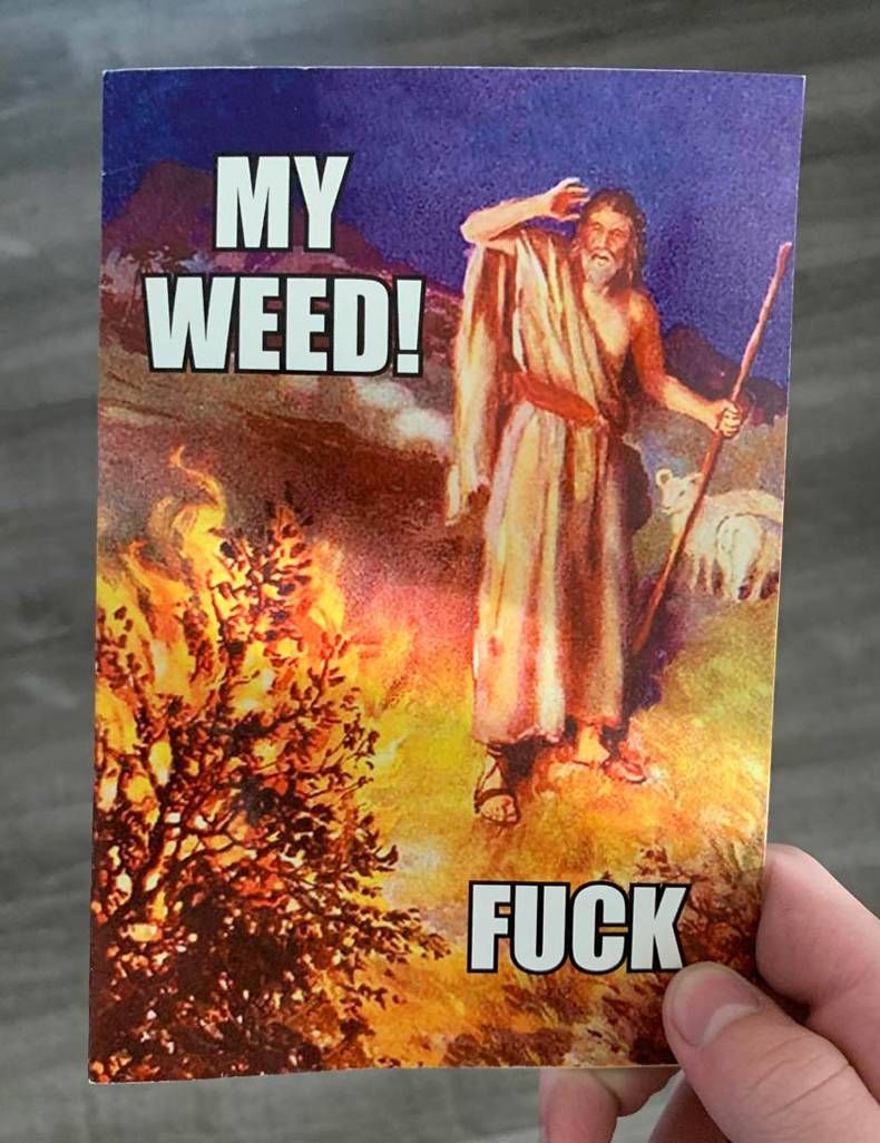 Gewoon een verzameling hilarische foto's #1401