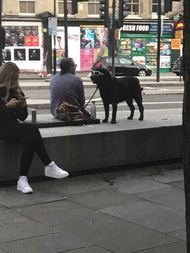 Gewoon een verzameling hilarische foto’s #1465