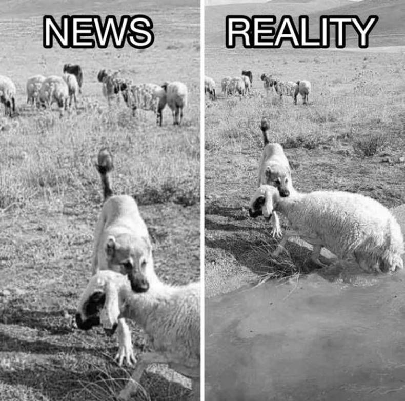 Gewoon een verzameling hilarische foto's #1424