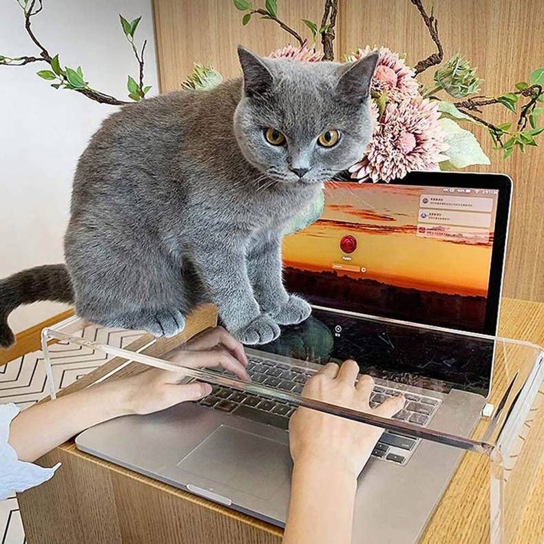 Gewoon een verzameling hilarische foto's #1401