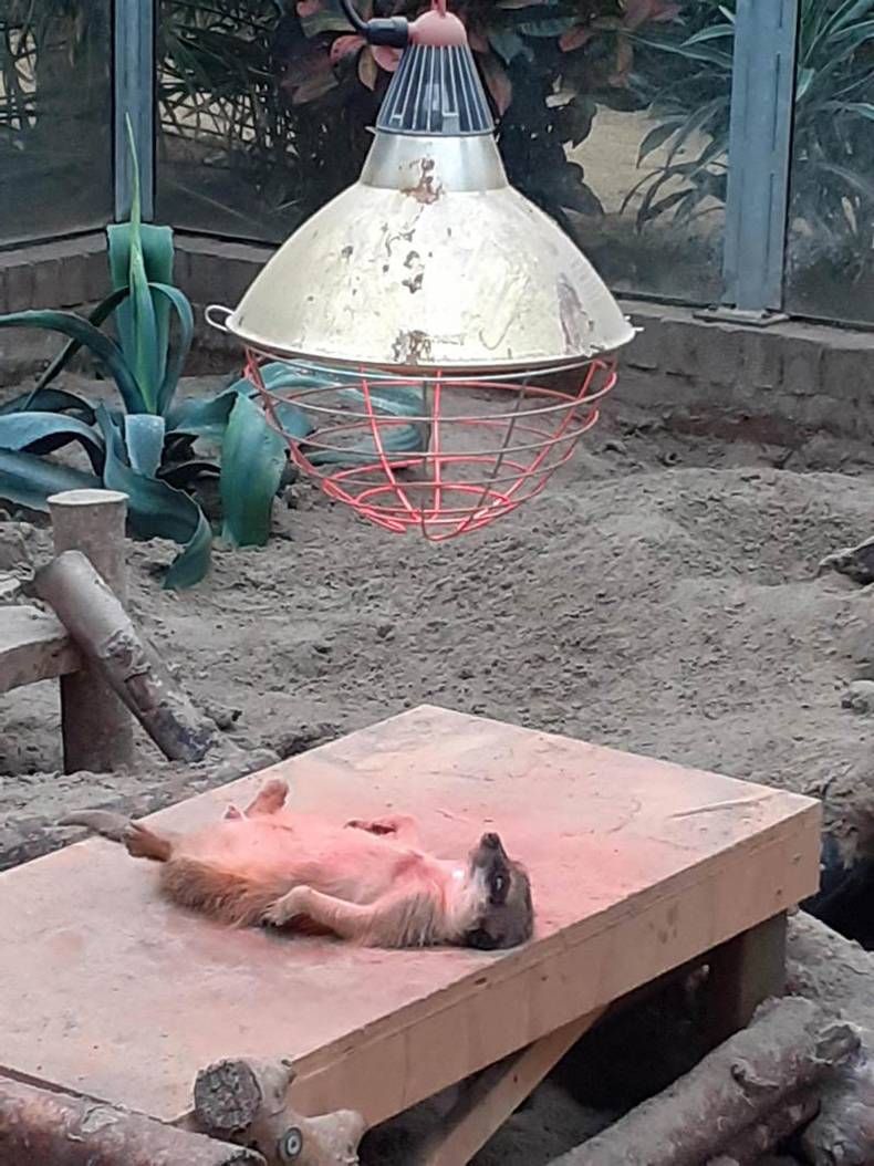 Gewoon een verzameling hilarische foto's #1401