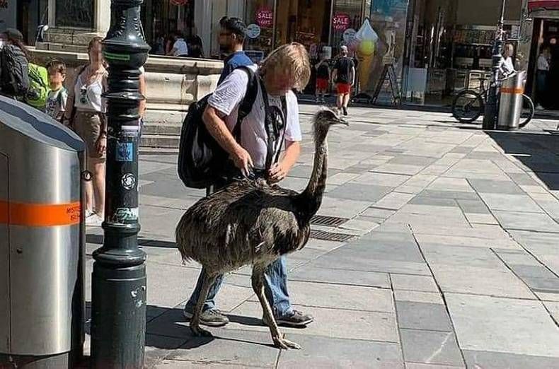Gewoon een verzameling hilarische foto’s #1465