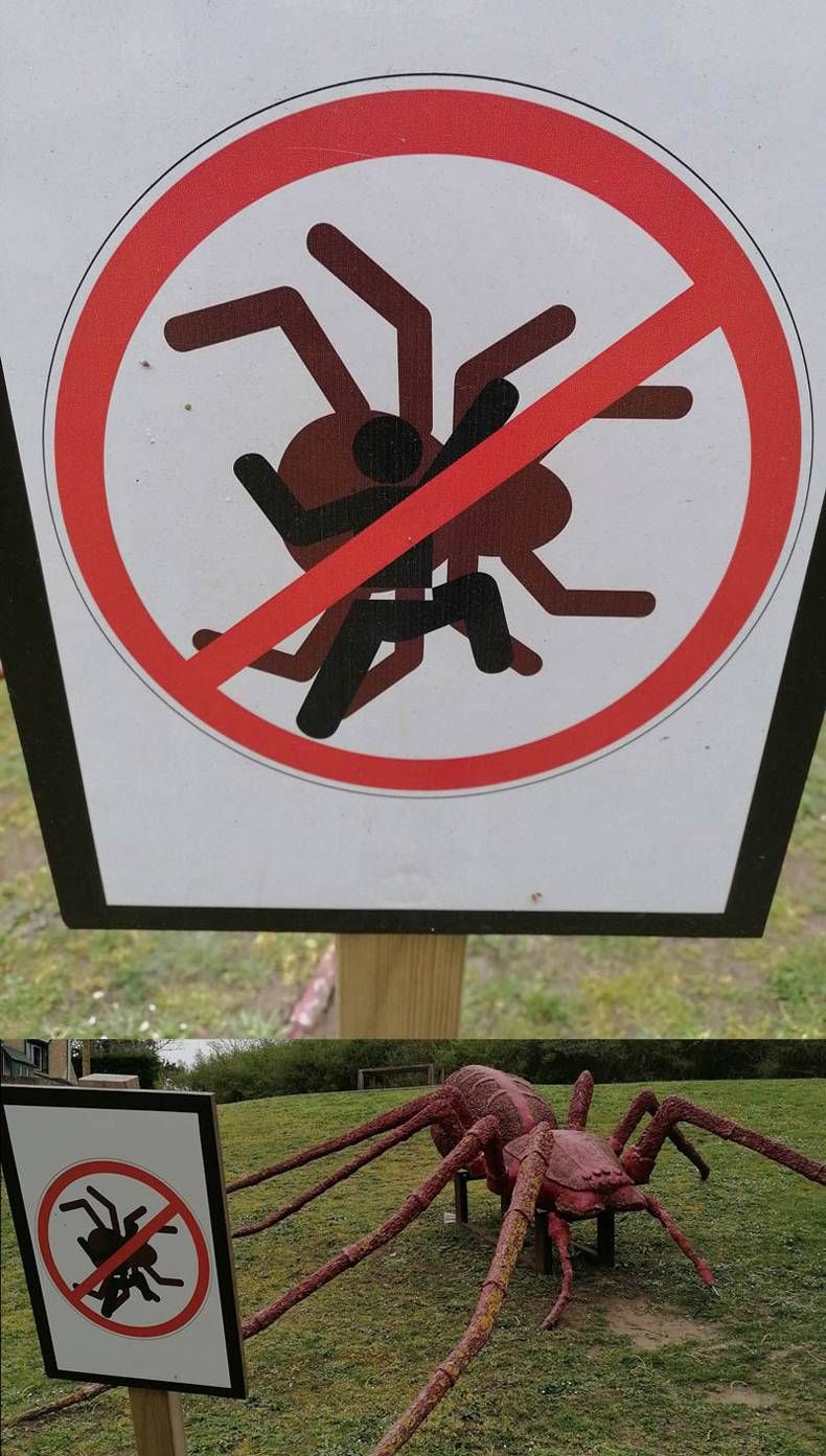 Gewoon een verzameling hilarische foto's #1424
