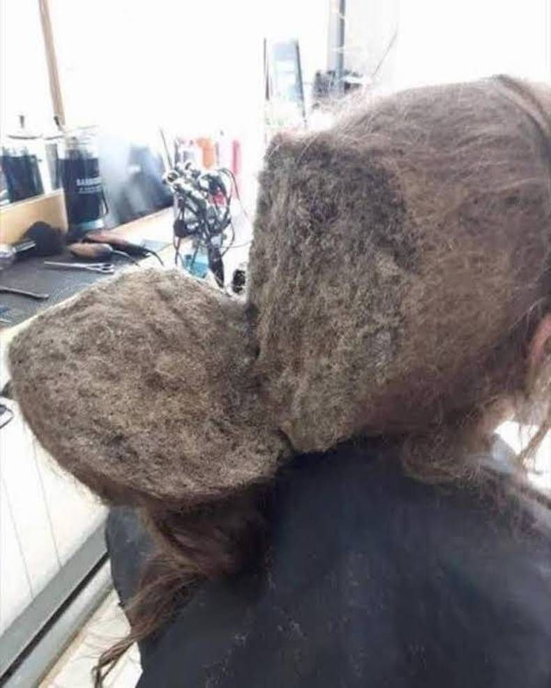 Gewoon een verzameling hilarische foto's #1424