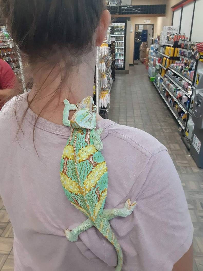 Gewoon een verzameling hilarische foto's #1303