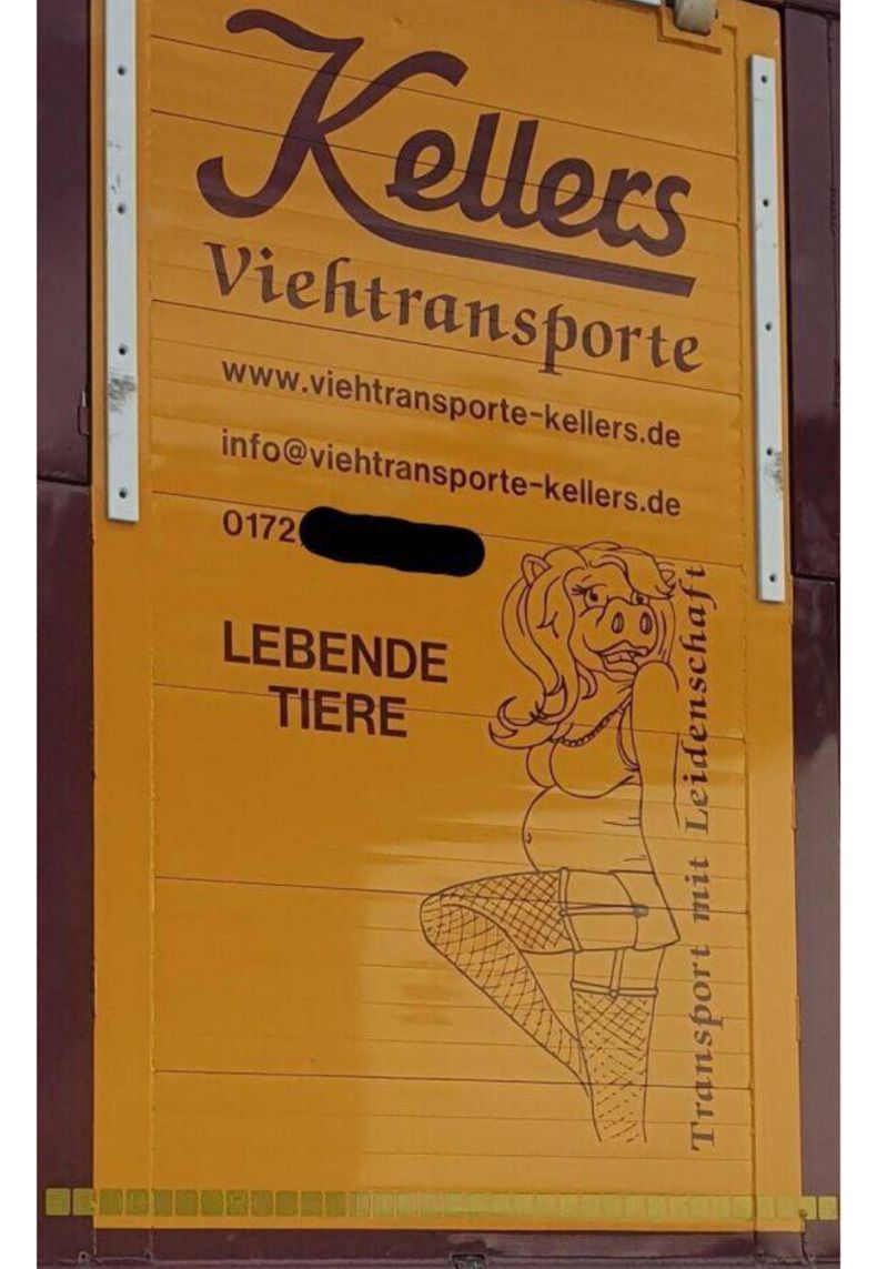 Gewoon een verzameling hilarische foto's #1506