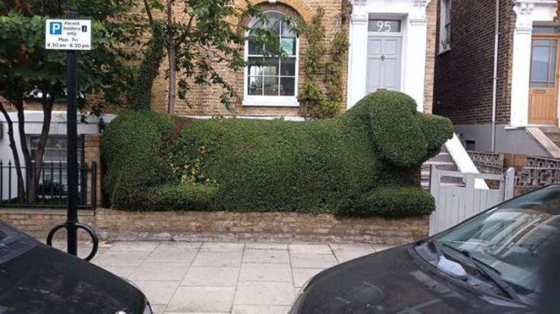 Gewoon een verzameling hilarische foto's #1506