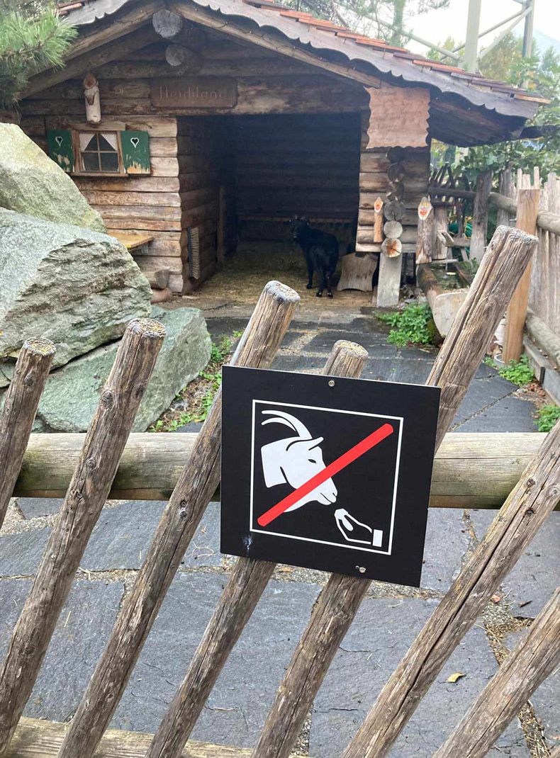 Gewoon een verzameling hilarische foto's #1506