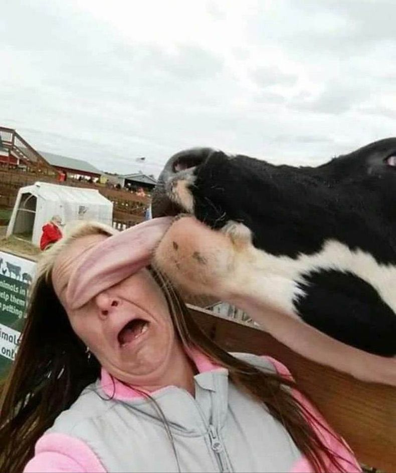 Gewoon een verzameling hilarische foto's #1506