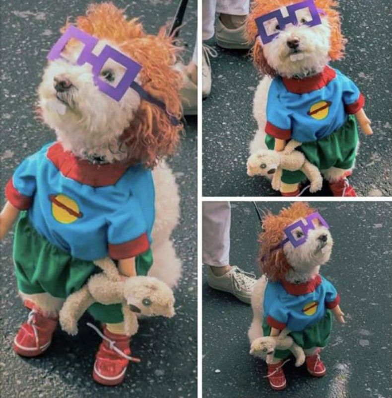 Gewoon een verzameling hilarische foto's #1515