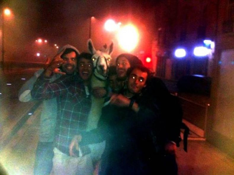 Gewoon een verzameling hilarische foto's #1516