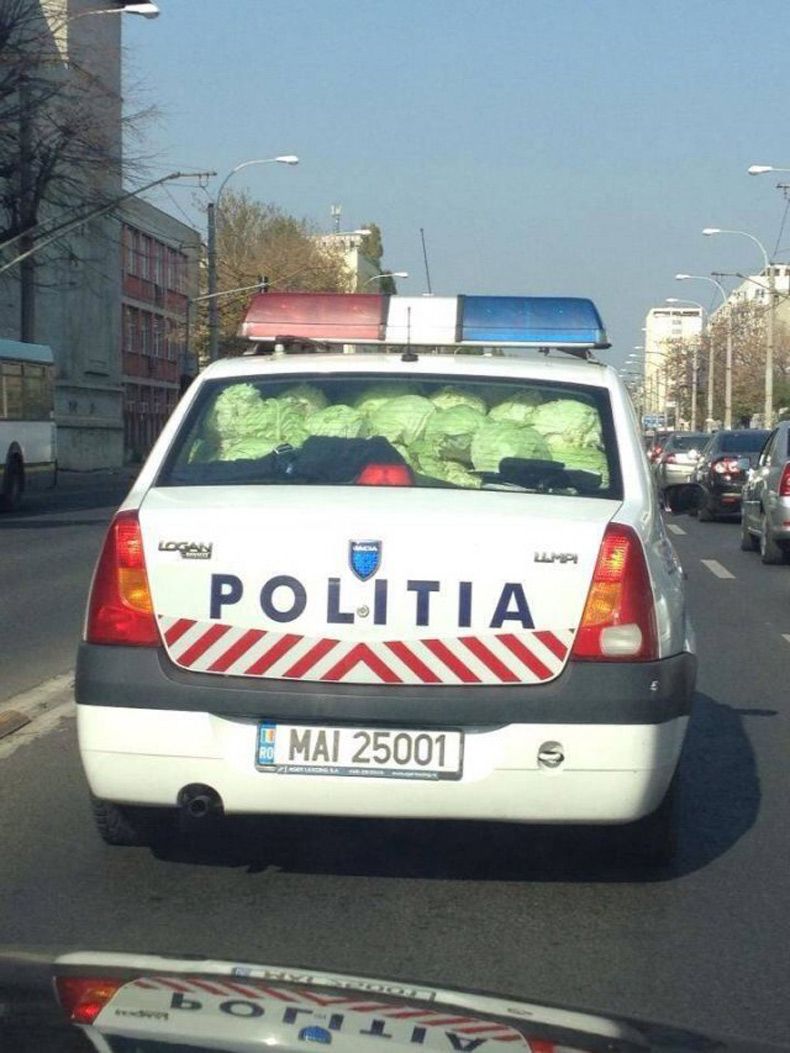Gewoon een verzameling hilarische foto's #1516