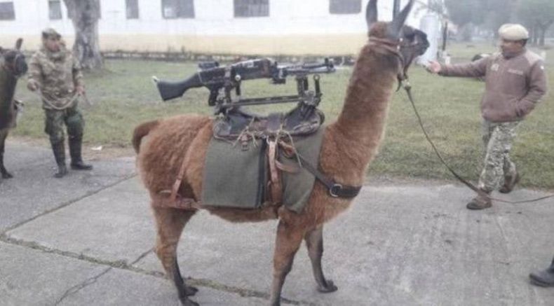 Gewoon een verzameling hilarische foto's #1516