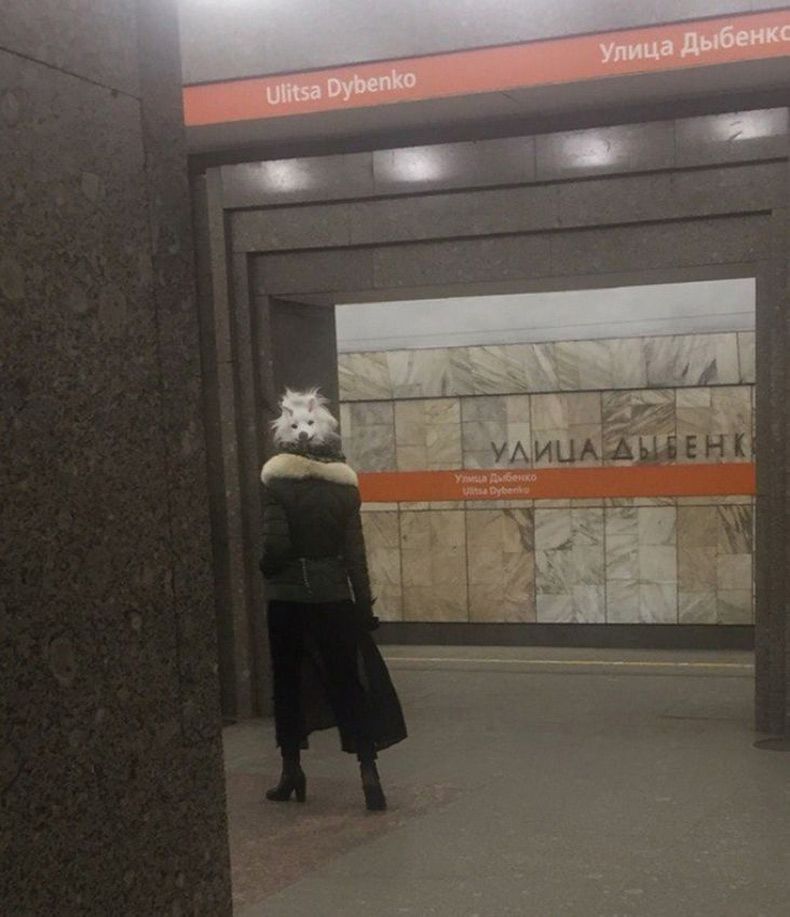 Gewoon een verzameling hilarische foto's #1518