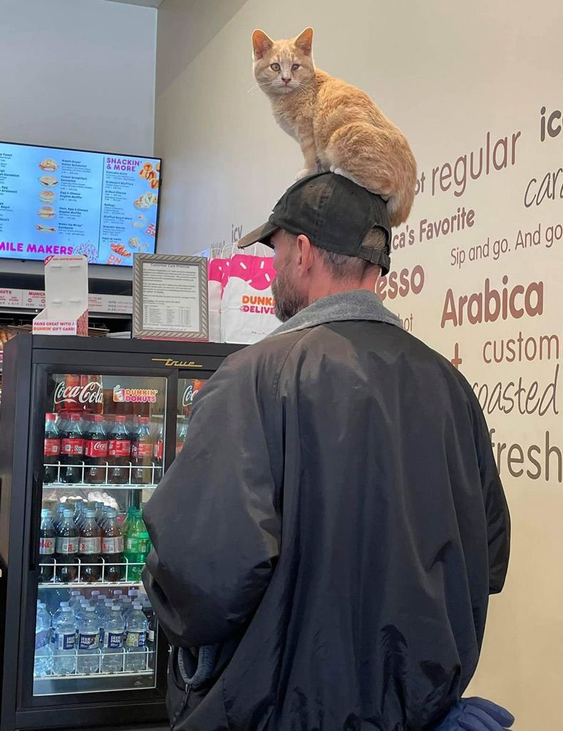 Gewoon een verzameling hilarische foto's #1521