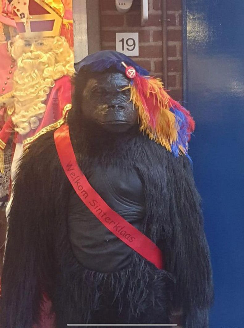 Gewoon een verzameling hilarische foto's #1521
