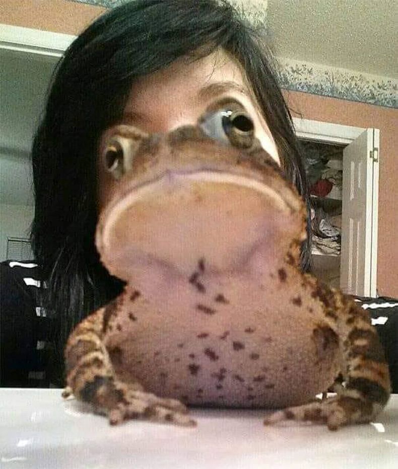 Gewoon een verzameling hilarische foto's #1522