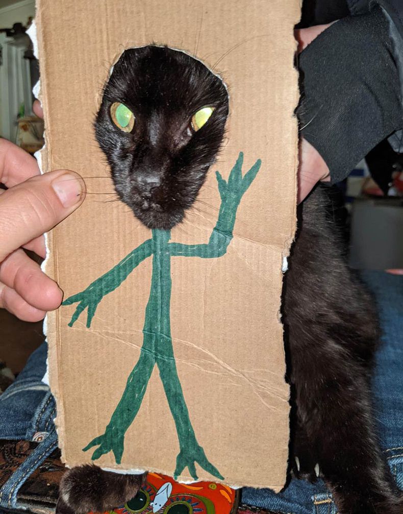 Gewoon een verzameling hilarische foto's #1523