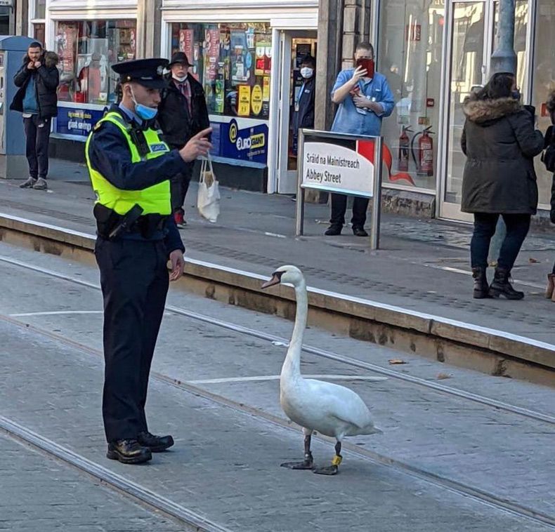 Gewoon een verzameling hilarische foto's #1523