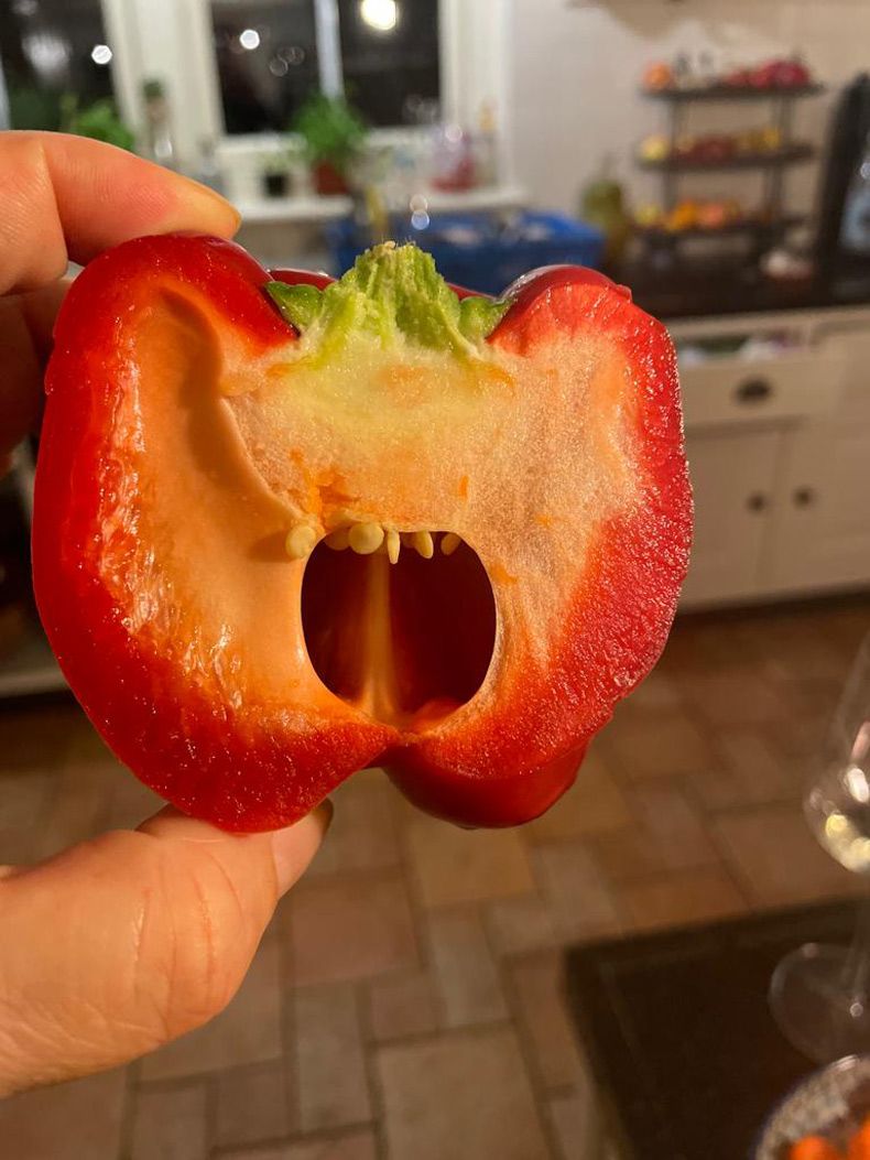 Gewoon een verzameling hilarische foto's #1523