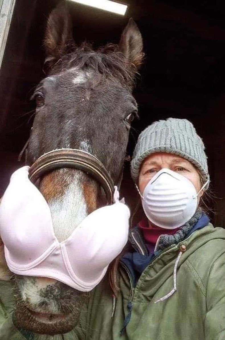 Gewoon een verzameling hilarische foto's #1523