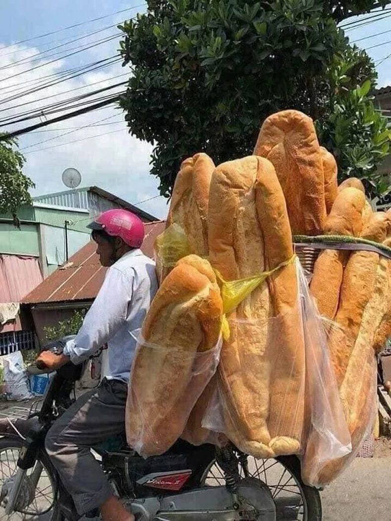 Gewoon een verzameling hilarische foto's #1524