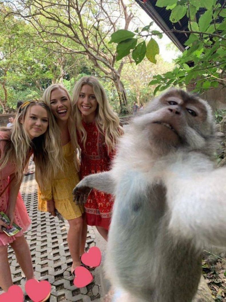 Gewoon een verzameling hilarische foto's #1524