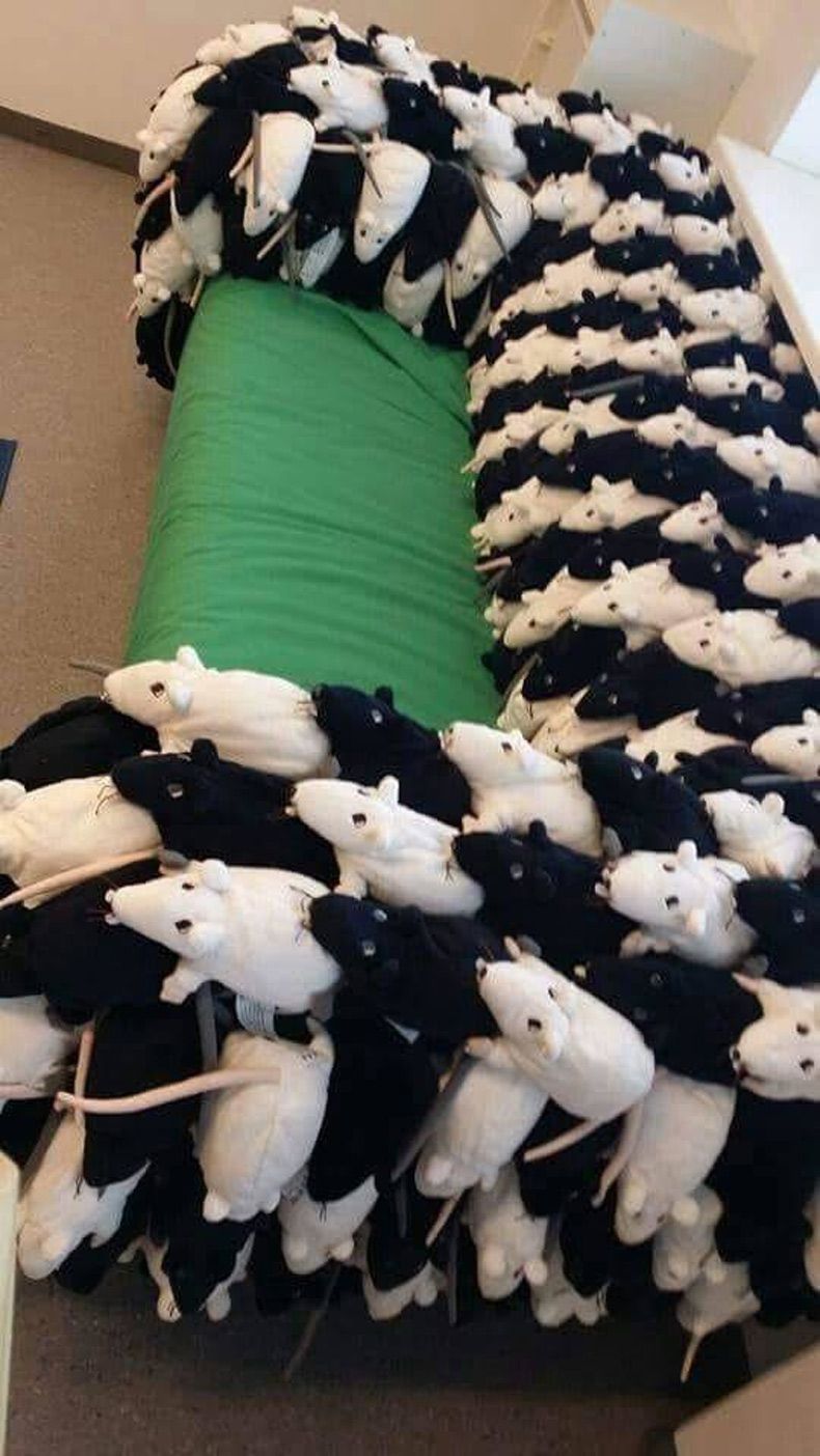 Gewoon een verzameling hilarische foto's #1524