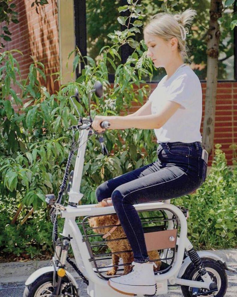 Gewoon een verzameling hilarische foto's #1524