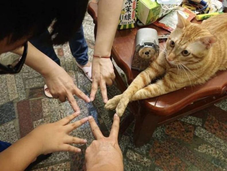 Gewoon een verzameling hilarische foto's #1524
