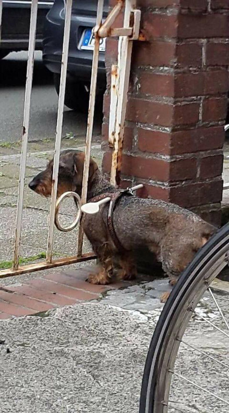 Gewoon een verzameling hilarische foto's #1524