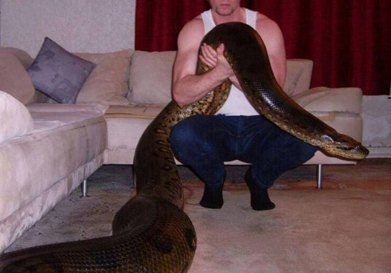 Gewoon een verzameling hilarische foto's #1529