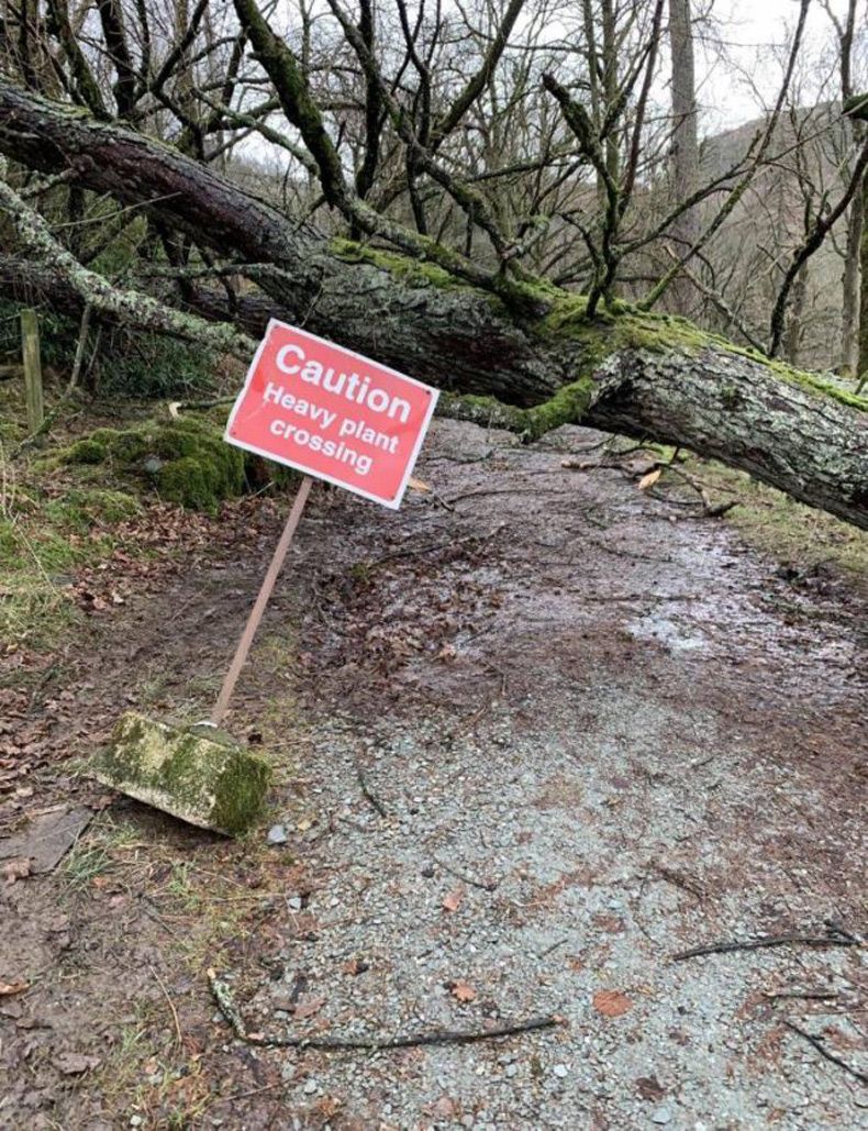 Gewoon een verzameling hilarische foto's #1529