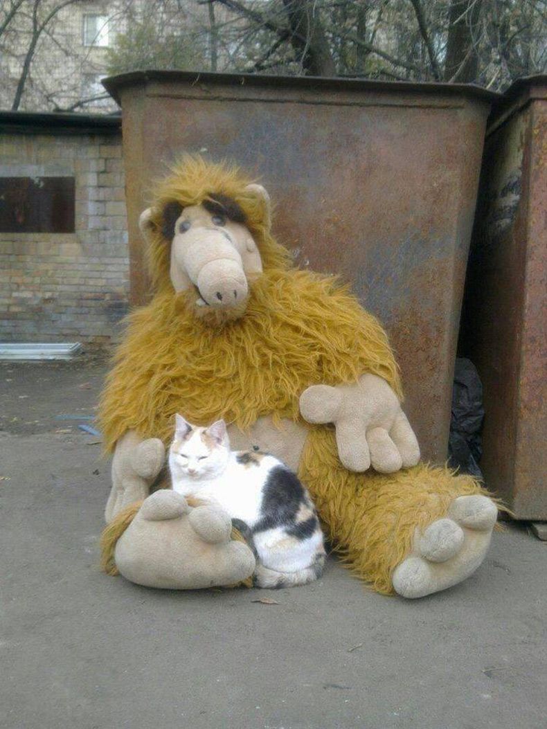 Gewoon een verzameling hilarische foto's #1546