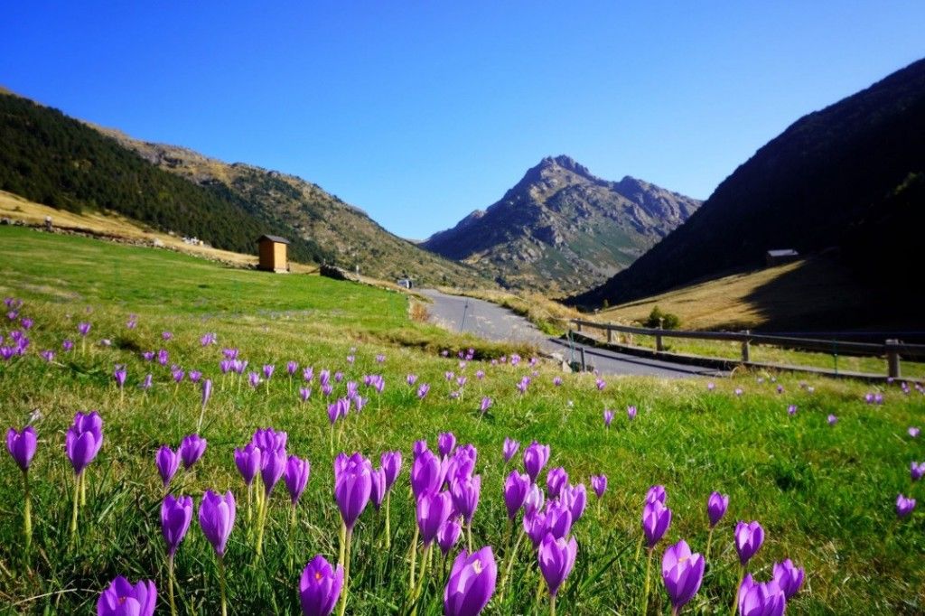 Gespot op Strava: Waarom Gesink de tofste renner is om op Strava te volgen