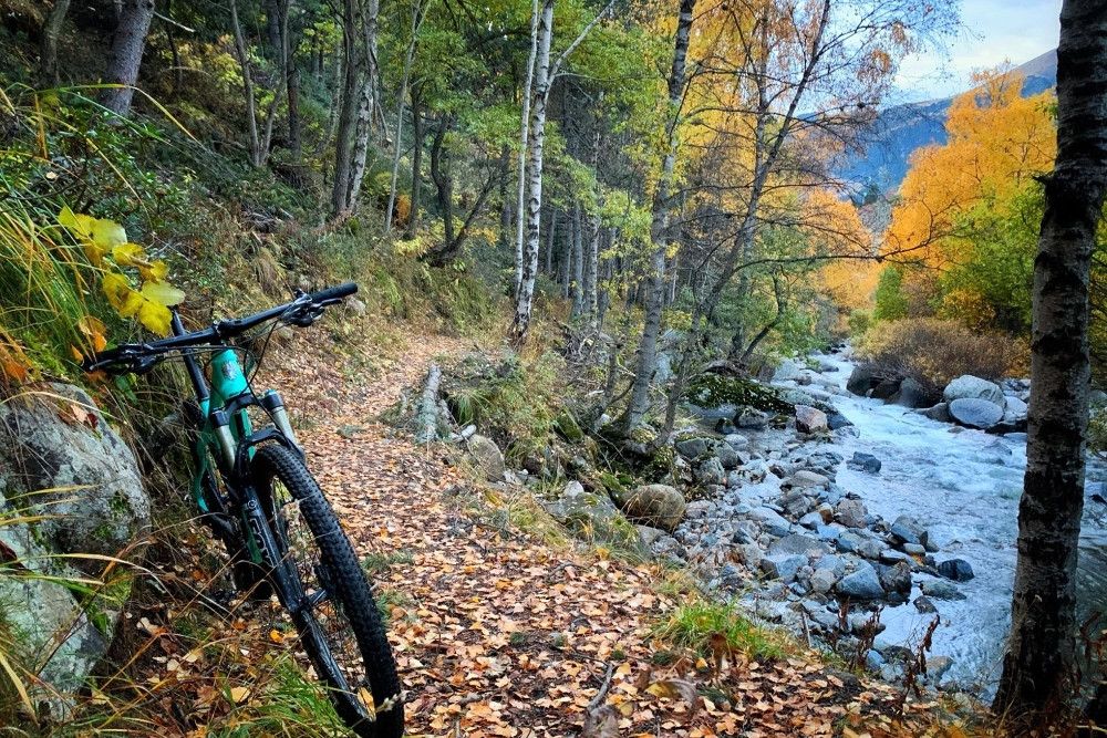 Gespot op Strava: Waarom Gesink de tofste renner is om op Strava te volgen