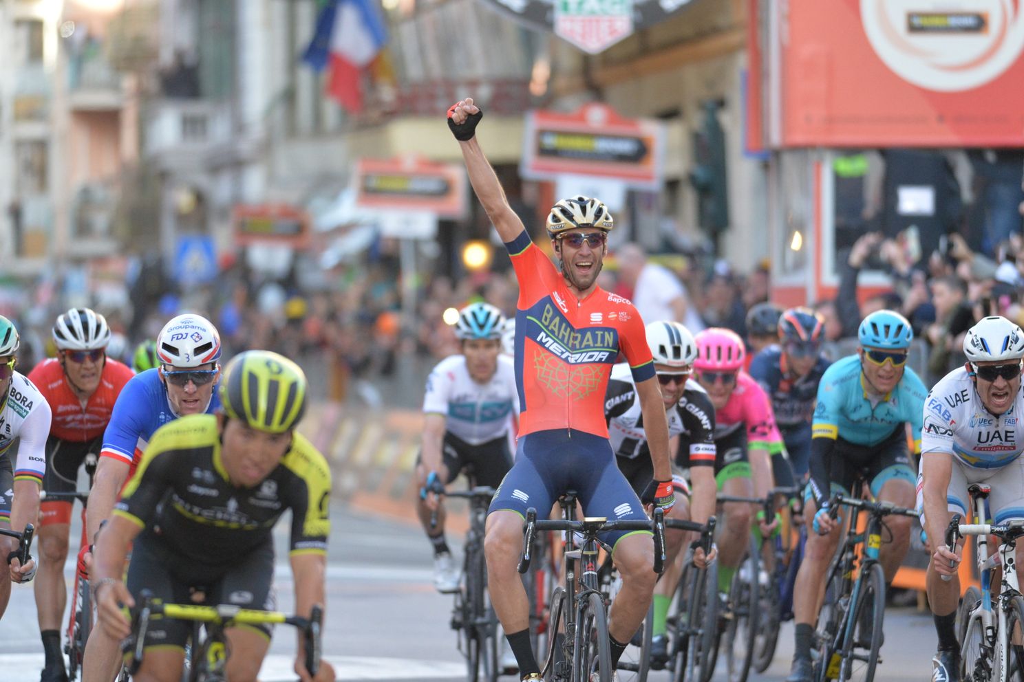 Fanclub Friday | Nibali heeft met 'Born to be Shark' eindelijk zijn achterban