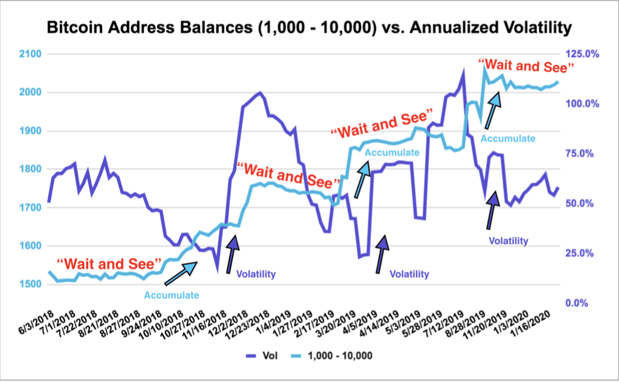'Bitcoin whales met 100 tot 1.000 BTC kopen steeds meer in'