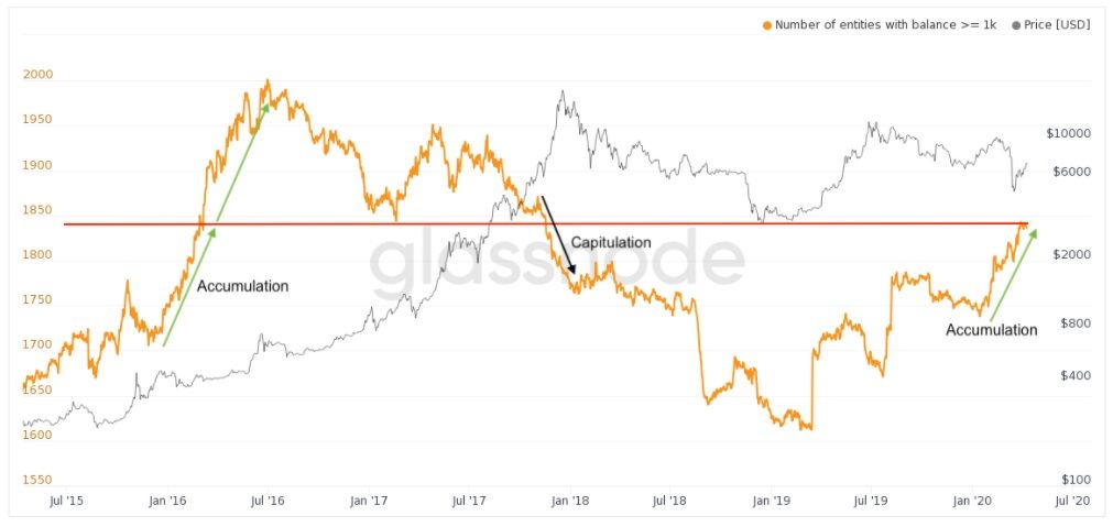 Record aantal Bitcoin (BTC) whales anticiperen op halving: 1.850