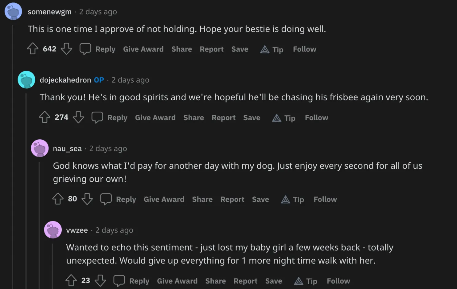 Leven van hond van Redditor gered door bitcoin