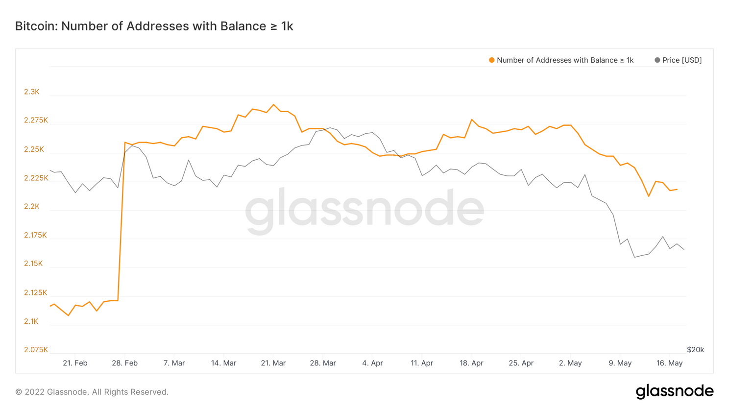 Bitcoin adressen met meer dan 1 btc nemen toe ondanks dip naar $25.000