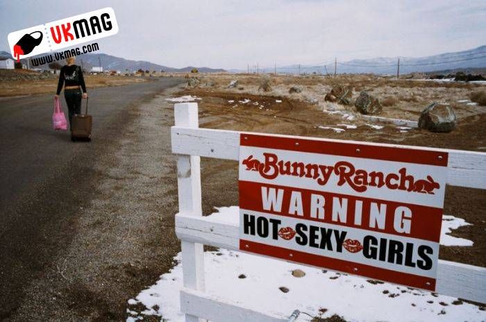 Moonlite BunnyRanch