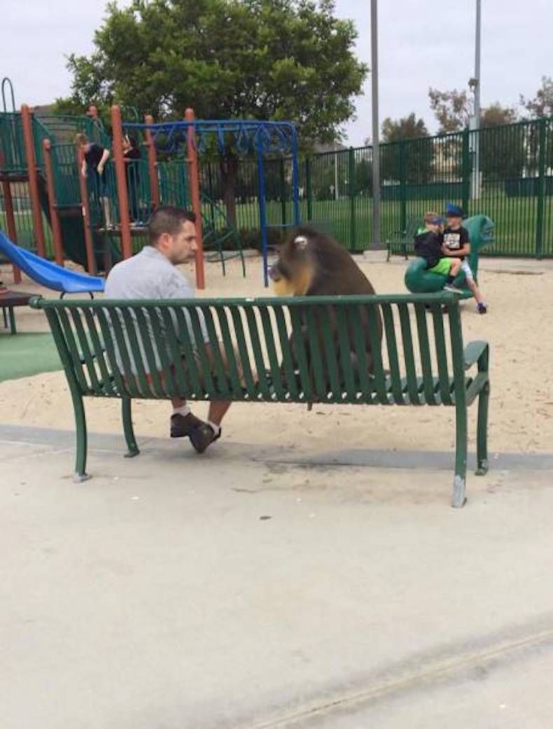 Gewoon een verzameling hilarische foto's #742