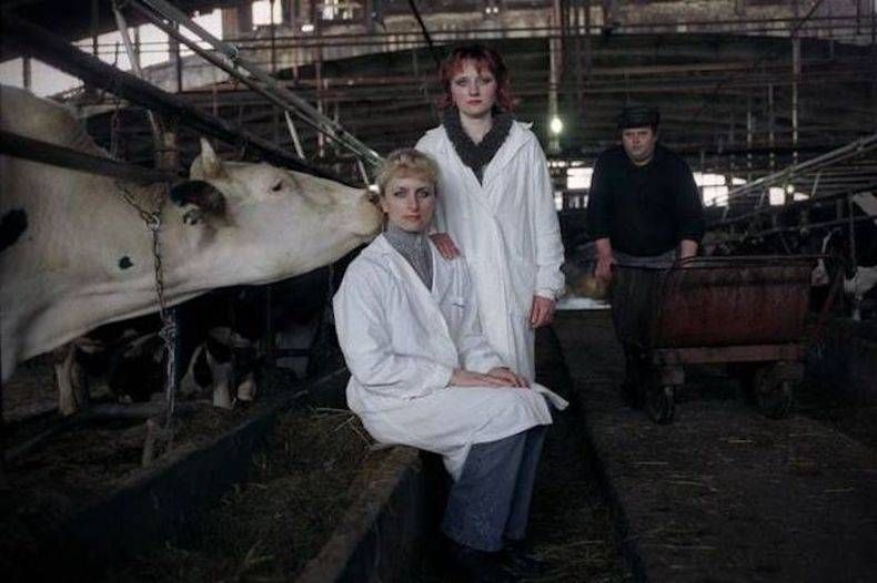 Gewoon een verzameling hilarische foto's #742