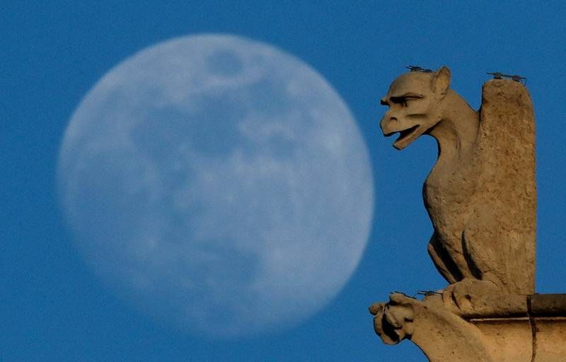 Gewoon een verzameling hilarische foto’s #799
