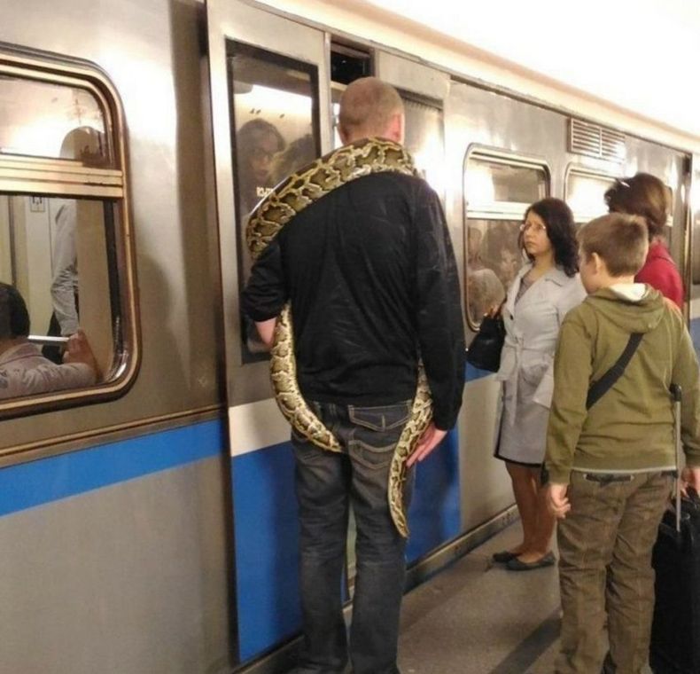Gewoon een verzameling hilarische foto's #1485