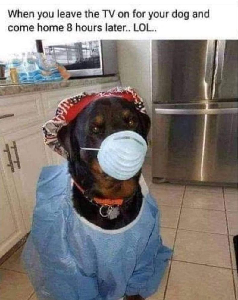 Gewoon een verzameling hilarische foto's #1485