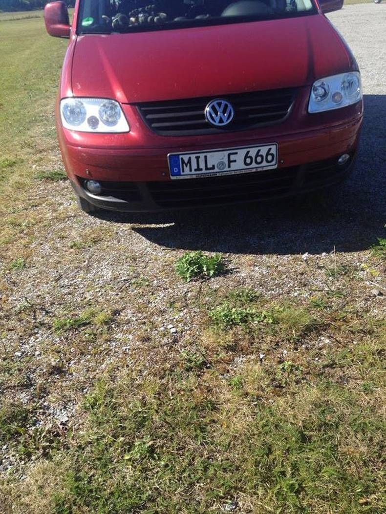 Gewoon een verzameling hilarische foto's #1451