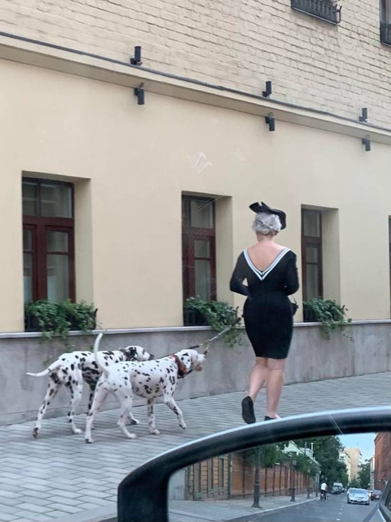 Gewoon een verzameling hilarische foto's #1463
